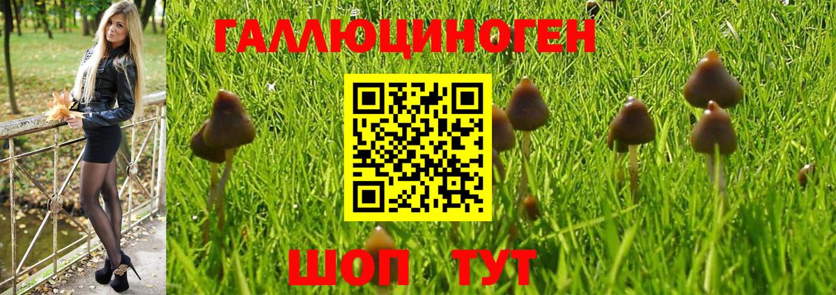 Рязань  Галлюциногенные грибы Magic Shrooms  Вход с VPN 