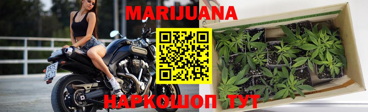 Канабис White Widow Рязань